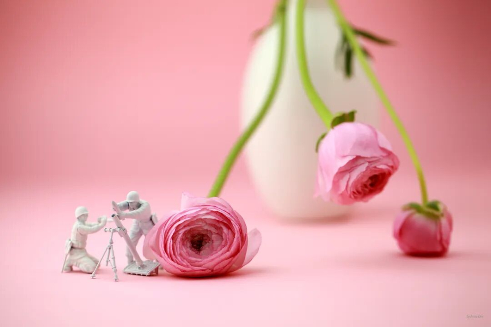 看一看 | 三影堂北京·林安罗个展“想象：双刃之剑”