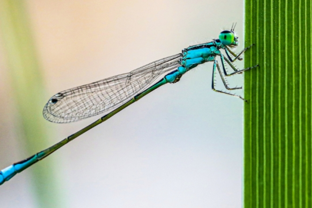 探索微观世界之美