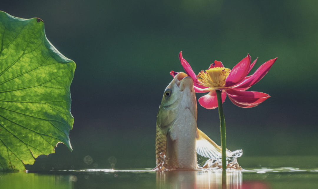 20251029145357758812.png 640 (6).png